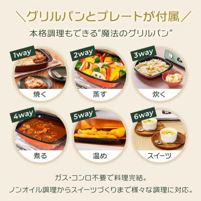 ふるさと納税 限定モデル アラジン グリル & トースター [No5698-1998]