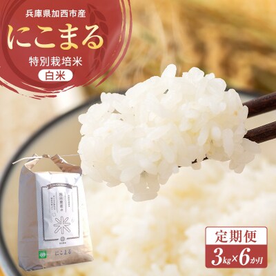 令和6年産 白米 3kg 定期便　6か月連続お届け 特別栽培米 にこまる[No5698-1876]