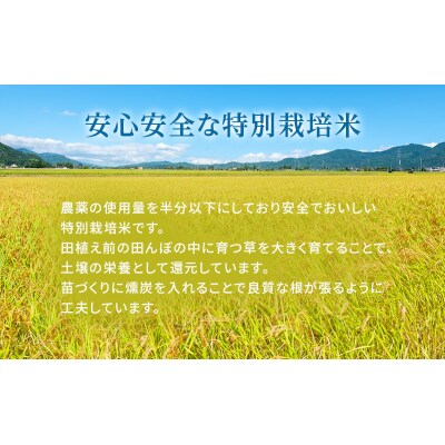 令和7年産 白米 3kg 特別栽培米 にこまる[No5698-1878]