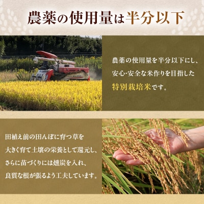 令和7年産 白米 3kg 特別栽培米 にこまる[No5698-1878]