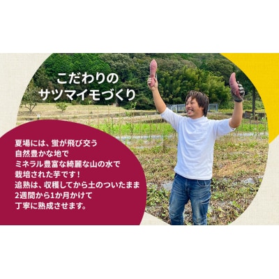 【訳アリ】冷凍 やきいも 2kg 紅はるか お試し[No5698-1968]
