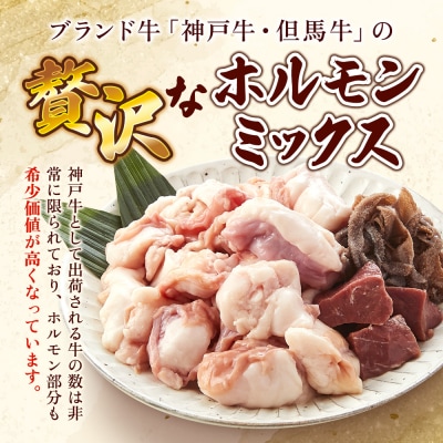 ヒライ牧場 ホルモンミックス 500g[No5698-2236]