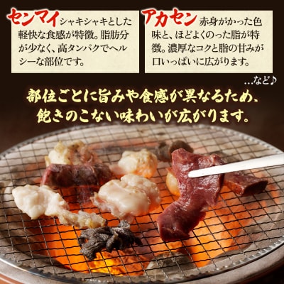 ヒライ牧場 ホルモンミックス 500g[No5698-2236]