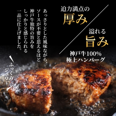 神戸牛 福袋 生ハンバーグ4個  すじ肉 600g  すき焼き200g[No5698-2240]