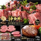 ステーキ3種920g 焼肉9種計720g ゆず山椒付き 生ハンバーグ4個 [No5698-2242]