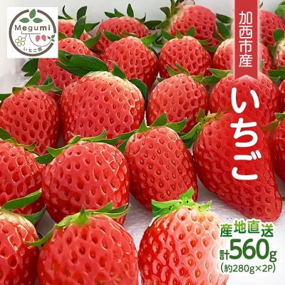 いちご 2パック 兵庫県 加西市 [No5698-2211]