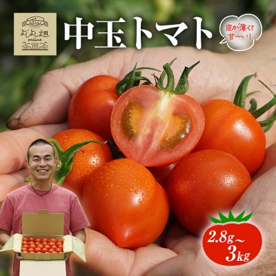 よしよし畑のあま～い トマト ( 中玉トマト ) 2.8kg ～ 3kg[No5698-1623]