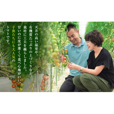 よしよし畑のあま～い トマト ( 中玉トマト ) 3.8kg ～ 4kg[No5698-1624]
