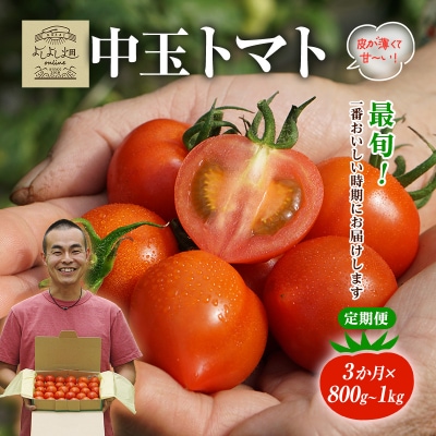 【最旬お届け確約】3ヶ月連続  よしよし畑 中玉トマト 計約3kg[No5698-1626]
