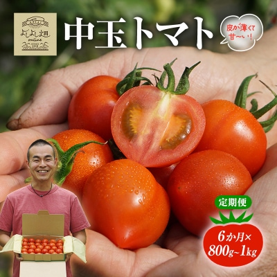 【6ヶ月連続】よしよし畑のあま～い トマト (中玉トマト) 計約3kg [No5698-1627]