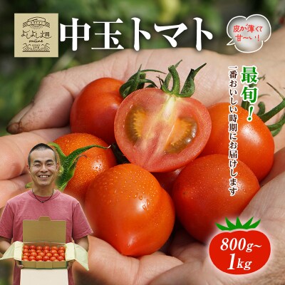 【最旬お届け!!】よしよし畑のあま～い 中玉トマト 800g ～ 1kg[No5698-1628]