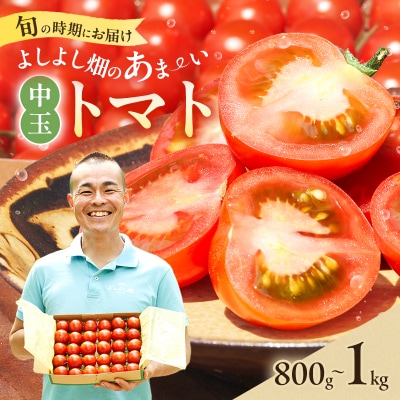 【最旬お届け!!】よしよし畑のあま～い 中玉トマト 800g ～ 1kg[No5698-1628]