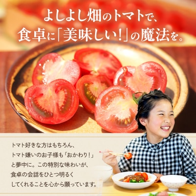 【最旬お届け!!】よしよし畑のあま～い 中玉トマト 800g ～ 1kg[No5698-1628]