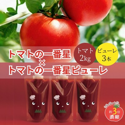 トマト 2kg+トマトの一番星ピューレ 380g×3本セット[No5698-1653]