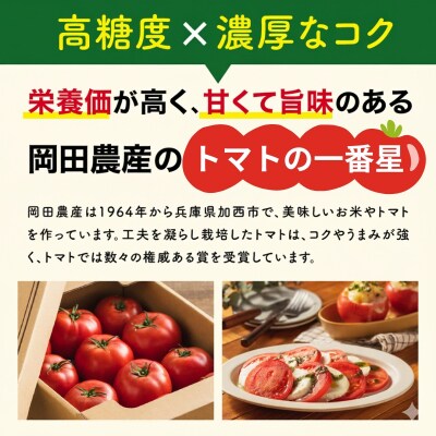 トマト 2kg+トマトの一番星ピューレ 380g×3本セット[No5698-1653]