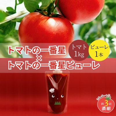 トマト 1kg+太陽のトマトピューレ 380g×1本 セット[No5698-1654]