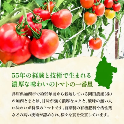 トマト 1kg+太陽のトマトピューレ 380g×1本 セット[No5698-1654]