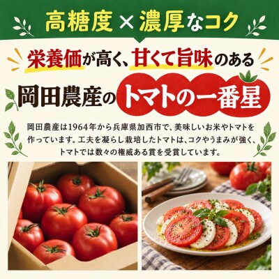 トマトピューレ 380g×5本[No5698-1656]