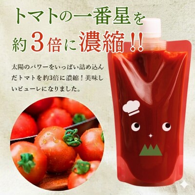 定期便 6ヶ月 トマトピューレ 380g×1本[No5698-1658]