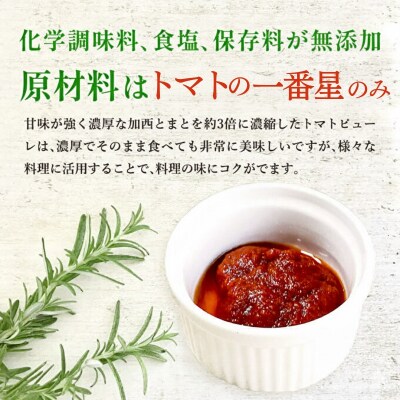 定期便 6ヶ月 トマトピューレ 380g×1本[No5698-1658]