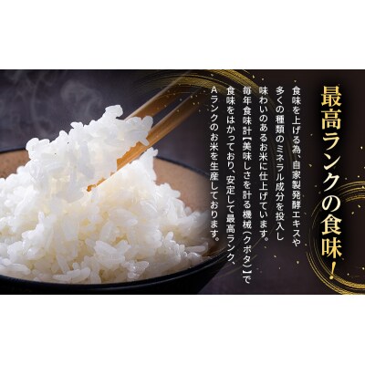 定期便 令和6年産 白米 5kg×6回 特別栽培米 にこまる( 山田錦 )[No5698-1662]