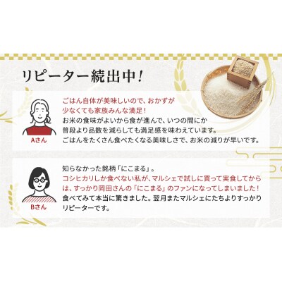 定期便 令和6年産 白米 5kg×6回 特別栽培米 にこまる( 山田錦 )[No5698-1662]