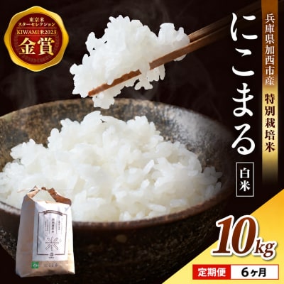 定期便 令和8年産 白米 10kg×6回 特別栽培米 にこまる(山田錦)[No5698-1665]