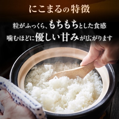 定期便 令和8年産 白米 10kg×6回 特別栽培米 にこまる(山田錦)[No5698-1665]