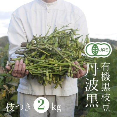 【2025年秋穫れ!希少な有機黒枝豆】農家直送!丹波黒枝豆　枝付き2kg[No5698-2033]