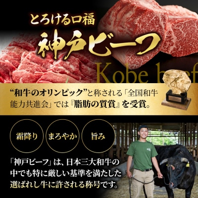 神戸牛 数量限定 ヒレ シャトーブリアン ステーキ 150g×1枚 希少 [No5698-2238]