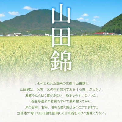 お中元 山田錦 最高峰の日本酒 飲み比べセット 特別純米 純米酒[No5698-2349]