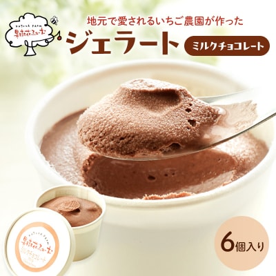 ジェラート チョコ 6個 アイス アイスクリーム スイーツ [No5698-1609]