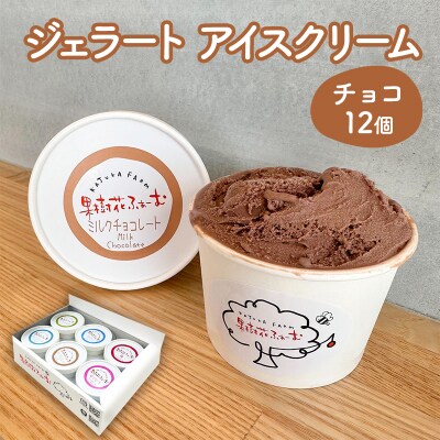 ジェラート チョコ 12個 アイス アイスクリーム スイーツ[No5698-1610]