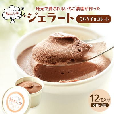ジェラート チョコ 12個 アイス アイスクリーム スイーツ[No5698-1610]