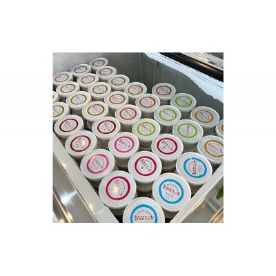 ジェラート チョコ 12個 アイス アイスクリーム スイーツ[No5698-1610]
