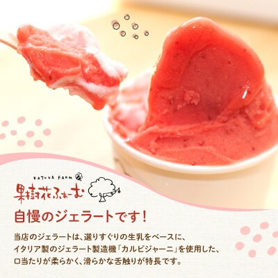 ジェラート チョコ 12個 アイス アイスクリーム スイーツ[No5698-1610]