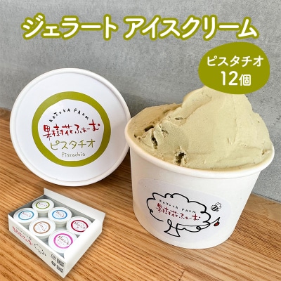 ジェラート ピスタチオ 12個 アイス アイスクリーム スイーツ [No5698-1612]