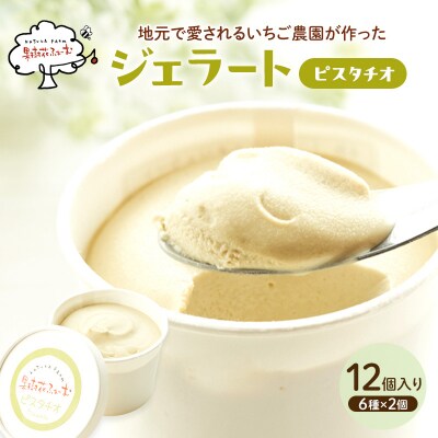 ジェラート ピスタチオ 12個 アイス アイスクリーム スイーツ [No5698-1612]