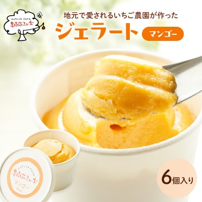ジェラート マンゴー 6個 アイス アイスクリーム スイーツ [No5698-1613]