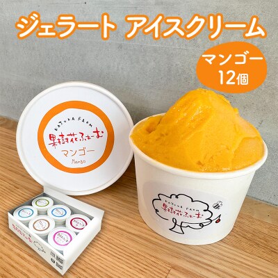 ジェラート マンゴー 12個 アイス アイスクリーム スイーツ[No5698-1614]