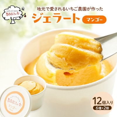 ジェラート マンゴー 12個 アイス アイスクリーム スイーツ[No5698-1614]
