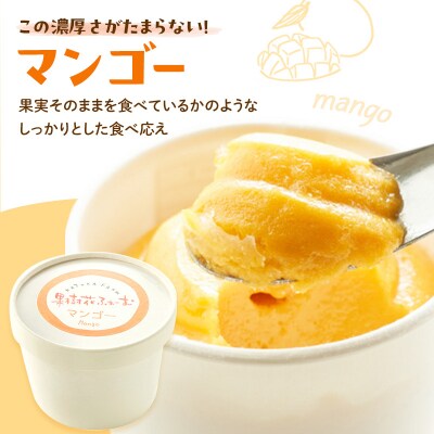 ジェラート マンゴー 12個 アイス アイスクリーム スイーツ[No5698-1614]