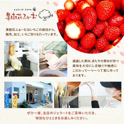 ジェラート いちご 6個 アイス アイスクリーム スイーツ [No5698-1615]