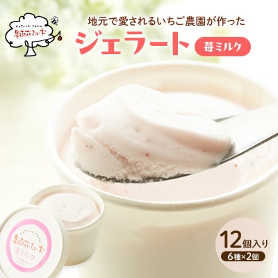 ジェラート いちごミルク 12個 アイス アイスクリーム スイーツ [No5698-1618]