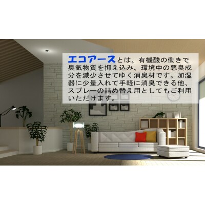 消臭スプレー エコアース ボトルタイプ 500ml 1本 消臭剤[No5698-2254]