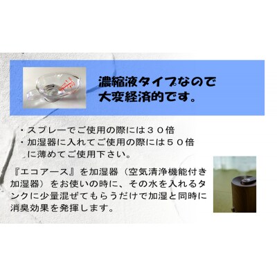 消臭スプレー エコアース ボトルタイプ 500ml 1本 消臭剤[No5698-2254]