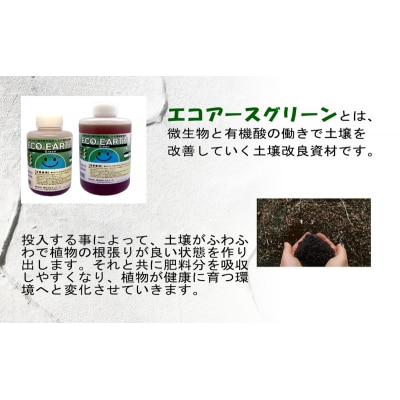 土壌改良材 エコアースグリーン 500ml+1000ml 計1.5Lセット[No5698-2256]