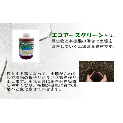 土壌改良材 エコアースグリーン 1000ml 1L 1本[No5698-2257]