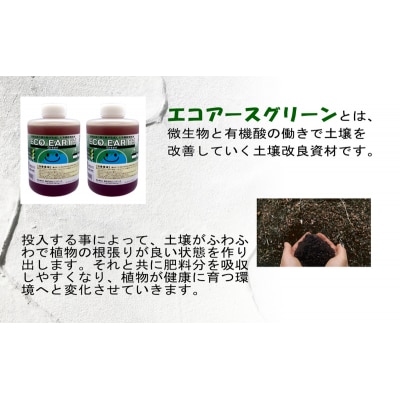 土壌改良材 エコアースグリーン1000ml×2本 計2L セット[No5698-2258]