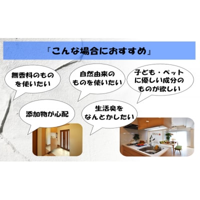 消臭スプレー エコアーススプレー 300ml×2本 計600ml セット[No5698-2259]